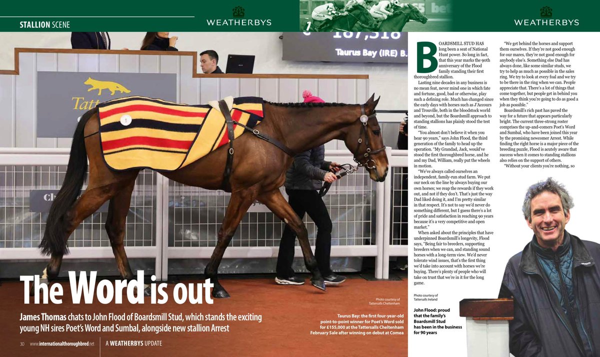 weatherbysltd's tweet photo. It was an excellent day for Poet’s Word @boardsmillstud at Cheltenham - his daughter Poetisa won the Bumper on debut before his son The Irish Avatar (pic @deborahburt1) was second top lot @TattsCheltenham April Sale - being knocked down to Harold Kirk for £200k.
In the most recent edition of the International Thoroughbred Magazine the ‘Weatherbys Stallion Scene’ featured @boardsmillstud .
John Flood spoke to @jamesbthomas11 about the Stud and discussed the current roster including Poet’s Word 👉🏻 https://t.co/gCQqED3P0U