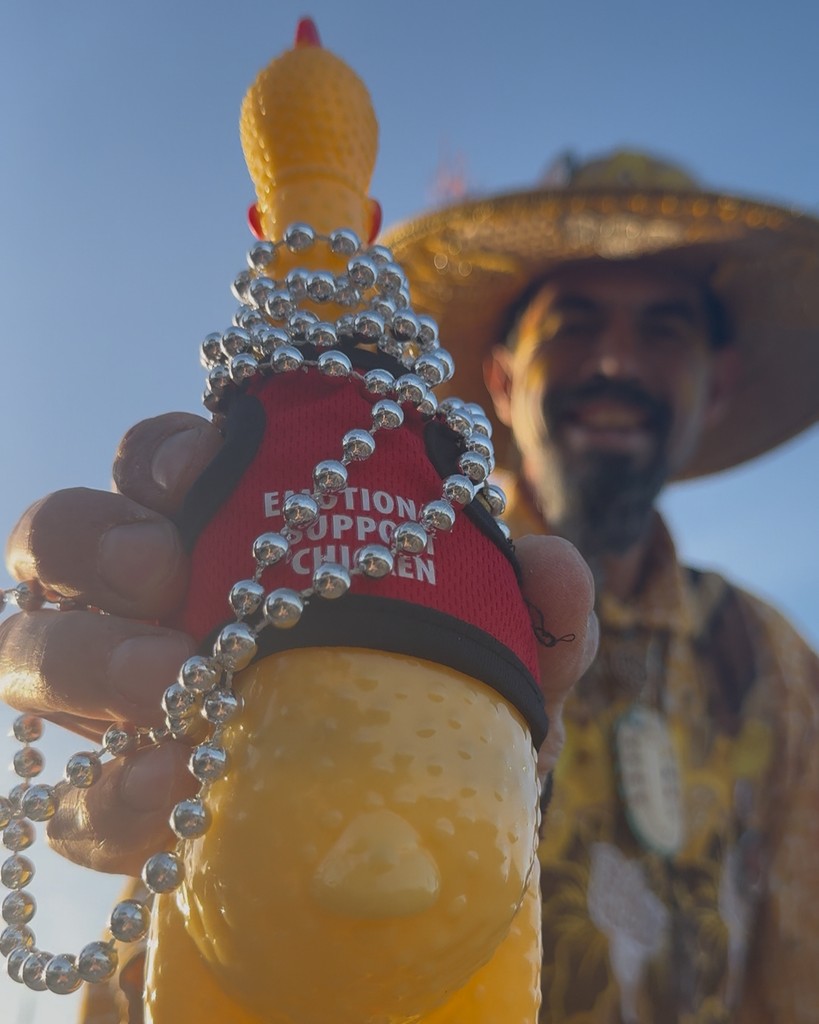 😕Do you also have fair withdrawals like us? It’s okay, only 329 days until next fair year. 

Until then, if you see us with our emotional support chicken please be gentle. 🫠