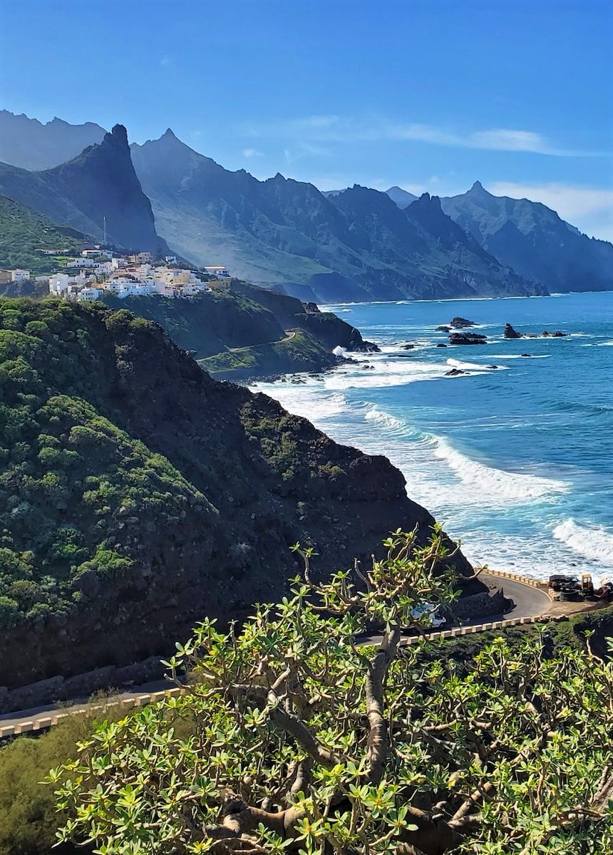 MitchellWi79248's tweet image. Tenerife,Canary Islands-Spain.