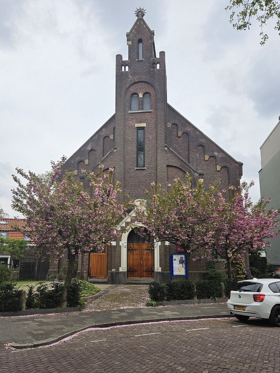 The Holy Hopper ☧ tweet media