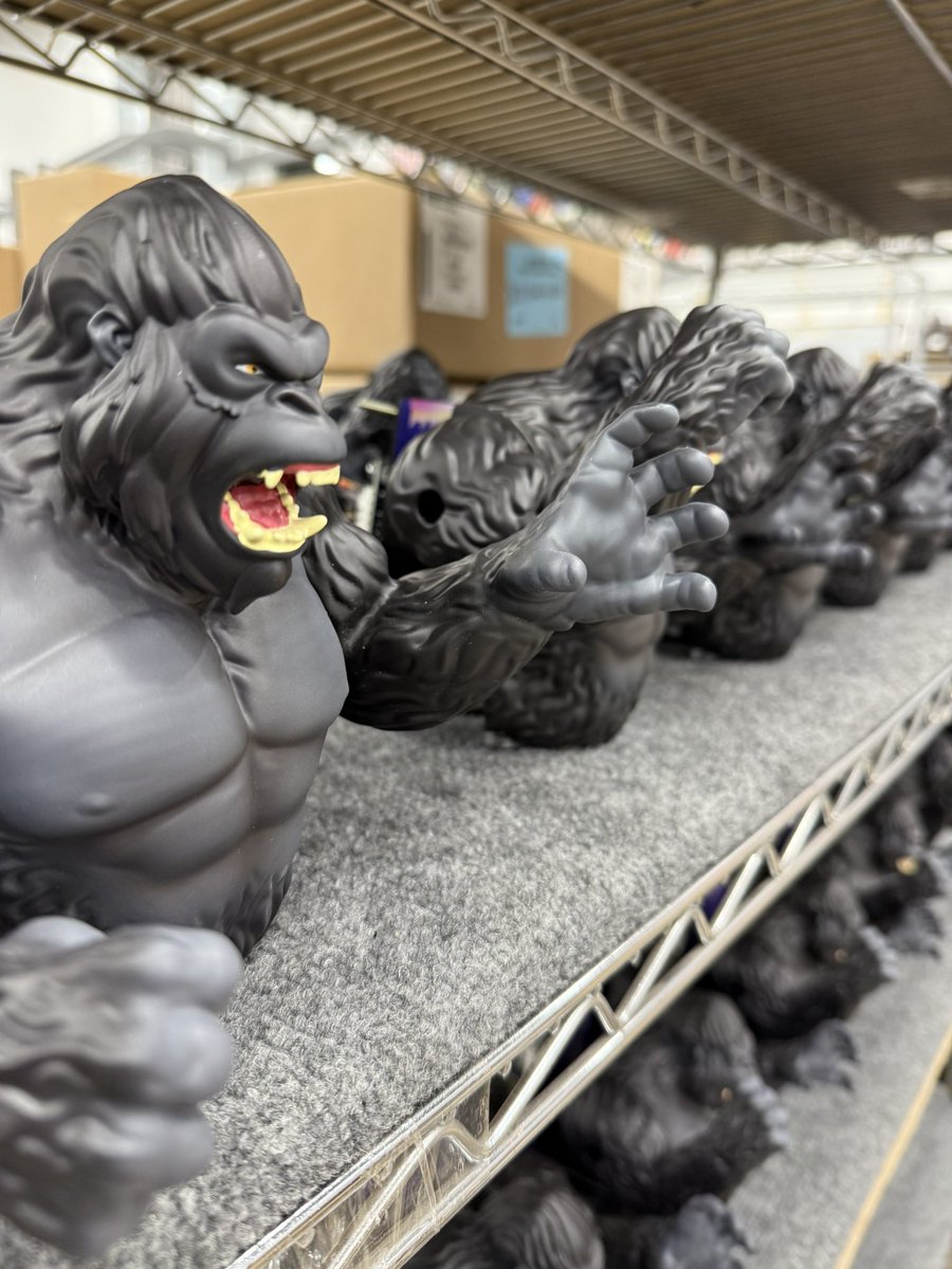 So many Kongs! 🦍