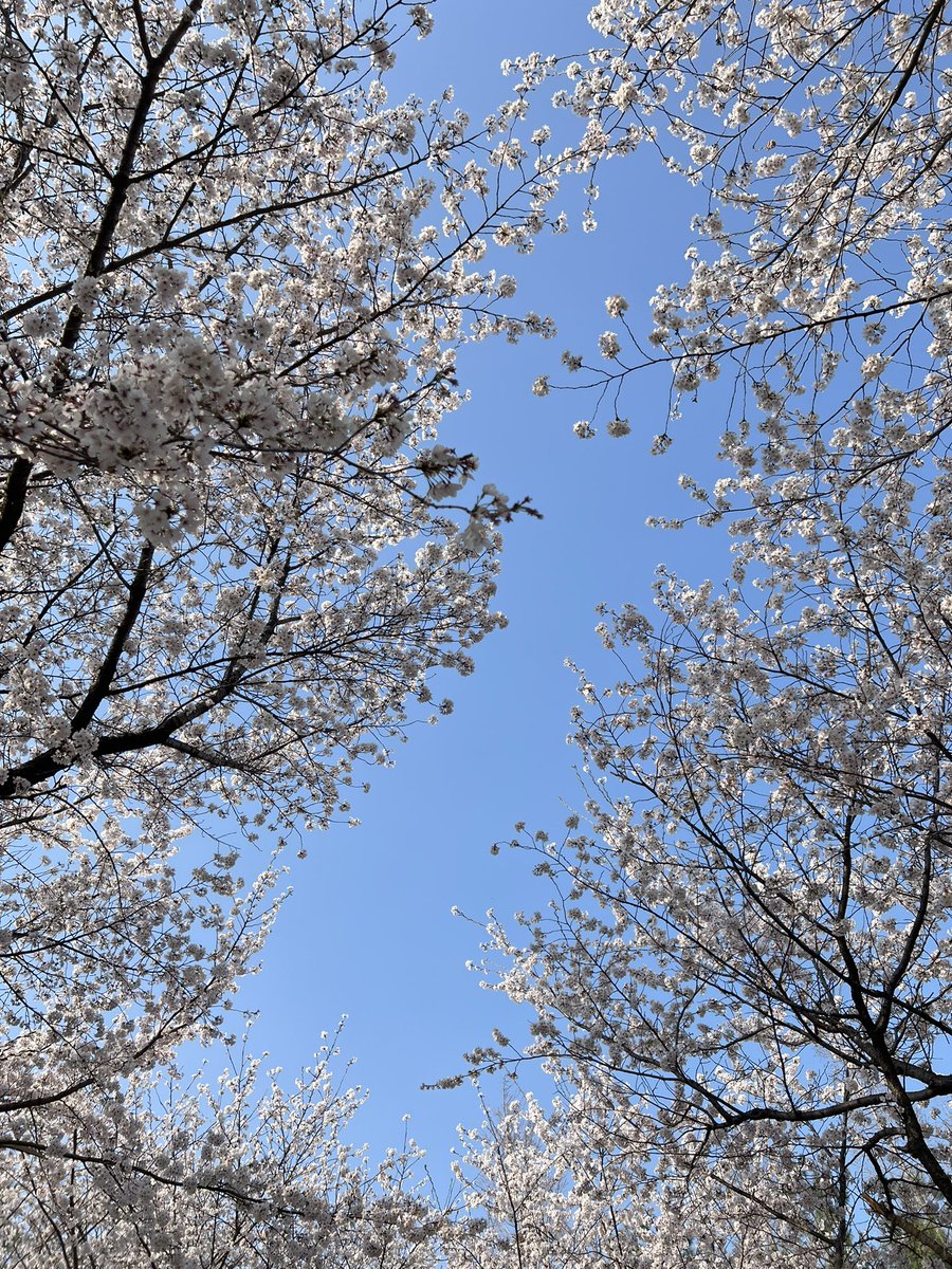 Found nature DLC 🌸