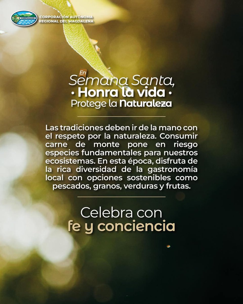 opinioncaribe's tweet photo. #DepartamentoOC ¿Sabías que en Semana Santa aumenta el consumo de animales de monte?

Animales como las hicoteas, iguanas y guartinajas son cazados en esta temporada, poniendo en riesgo su supervivencia.  

La Corporación Autónoma Regional del Magdalena, Corpamag, advierte que además de ser una amenaza para nuestra biodiversidad, su consumo puede transmitir enfermedades zoonóticas, que se pasan de animales a humanos.  

Este año, elige honrar la vida y cuidar la salud: Evita el consumo de carne de monte.

En Semana Santa, honra la vida, respeta la naturaleza.

@by_vicro500 @ElCallejeroSM @CORPAMAG