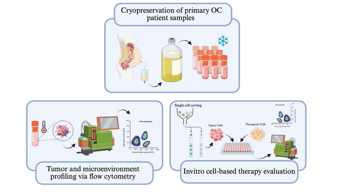 golabnow's tweet image. Last week, in collaboration with the Yang Lab, we published in STAR protocols outlining a protocol to profile the tumor and microenvironment from ovarian cancer patient samples as well as in-vitro assays to evaluate cell-based immunotherapies.
doi.org/10.1016/j.xpro…