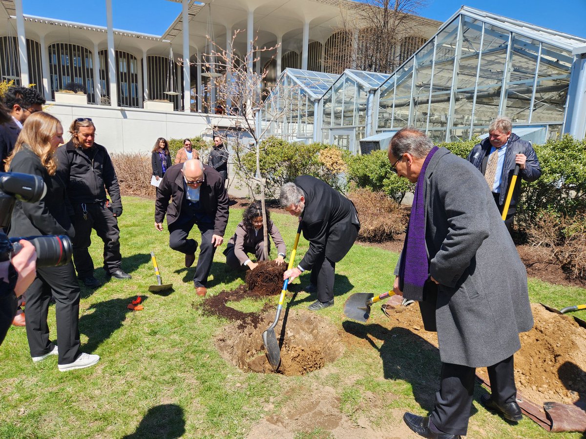 #UAlbany is unveiling a new student-run tree nursery to help boost local climate resilience and urban forestry.

Students will grow native, climate-adapted tree seedlings on campus &amp; then work with community volunteers to plant the trees in Albany: albany.edu/news-center/ne…