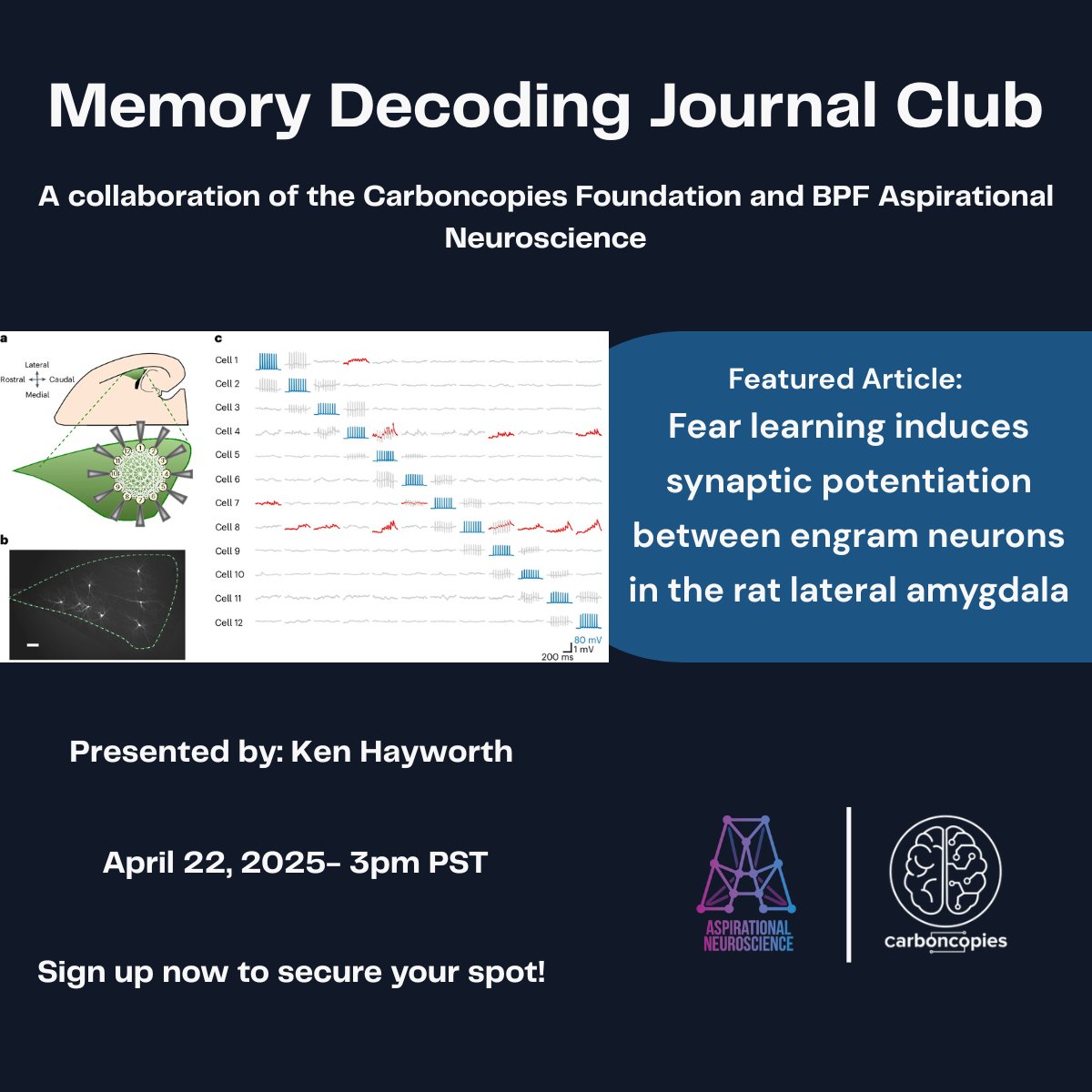 Join Us for the Memory Decoding Journal Club! carboncopies.org/aspirational-n…
