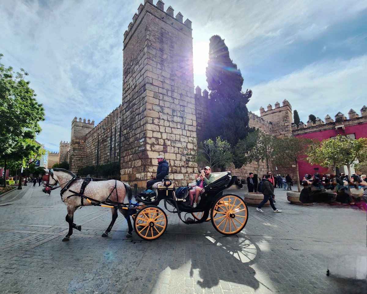 SarahJMalcolm's tweet photo. @semanasantasev what a wonderful few days in Seville https://t.co/Jwx2Ll0zDL