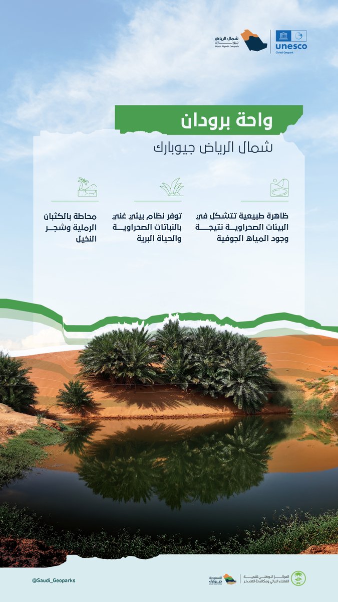 NRGeopark's tweet image. حيث تلتقي الرمال بالماء.. واحة برودان، قلب نابض في الصحراء وجمال طبيعي وتنوع بيئي يستحق الاكتشاف.
#أرضنا_تراث_العالم #شمال_الرياض_جيوبارك