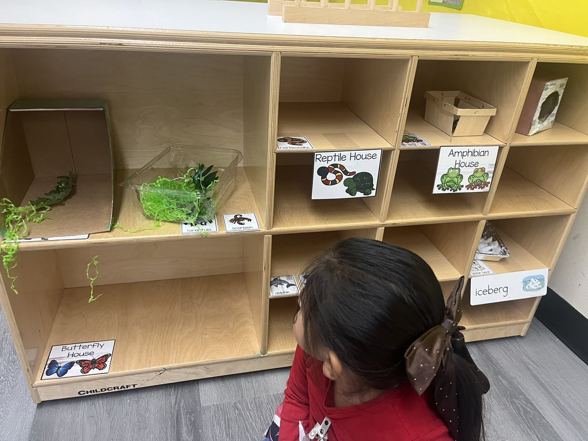 So much fun using our imagination in Imagination Lab to visit the zoo and dig for dinosaur bones! <a href="/DobiePKSchool/">Dobie Pre-Kindergarten School⭐️</a> <a href="/KHprincipal/">Kirstyn Hart</a> #risdbetheone