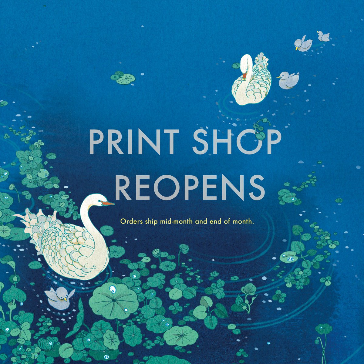 Ty for your patience — after almost 2 years (and welcoming a new baby!), the Print Shop is officially open again! I’m excited to start sharing some new offerings with you here soon. 💙 victo-ngai.mysupadupa.com