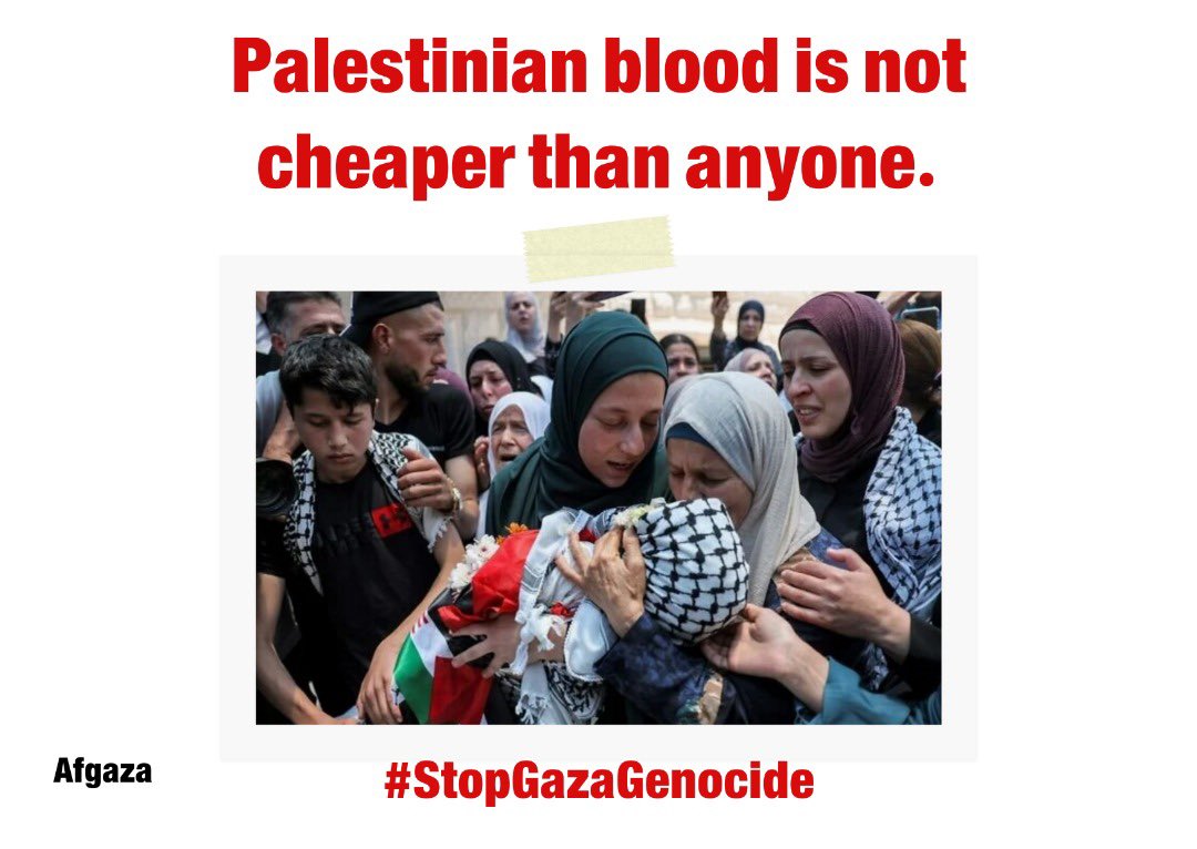 sohaibrashidaf's tweet photo. #StopGazaGenocide https://t.co/Pjr0pR4syC
