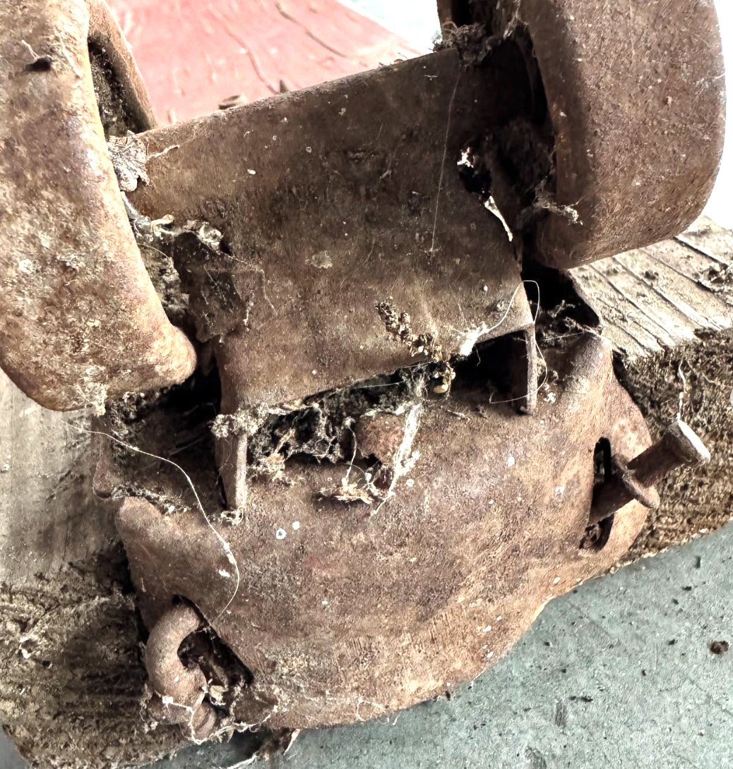 Deck archaeology 🛹
📸 courtesy of <a href="/Sk8HallofFame/">Sk8 Hall of Fame</a>