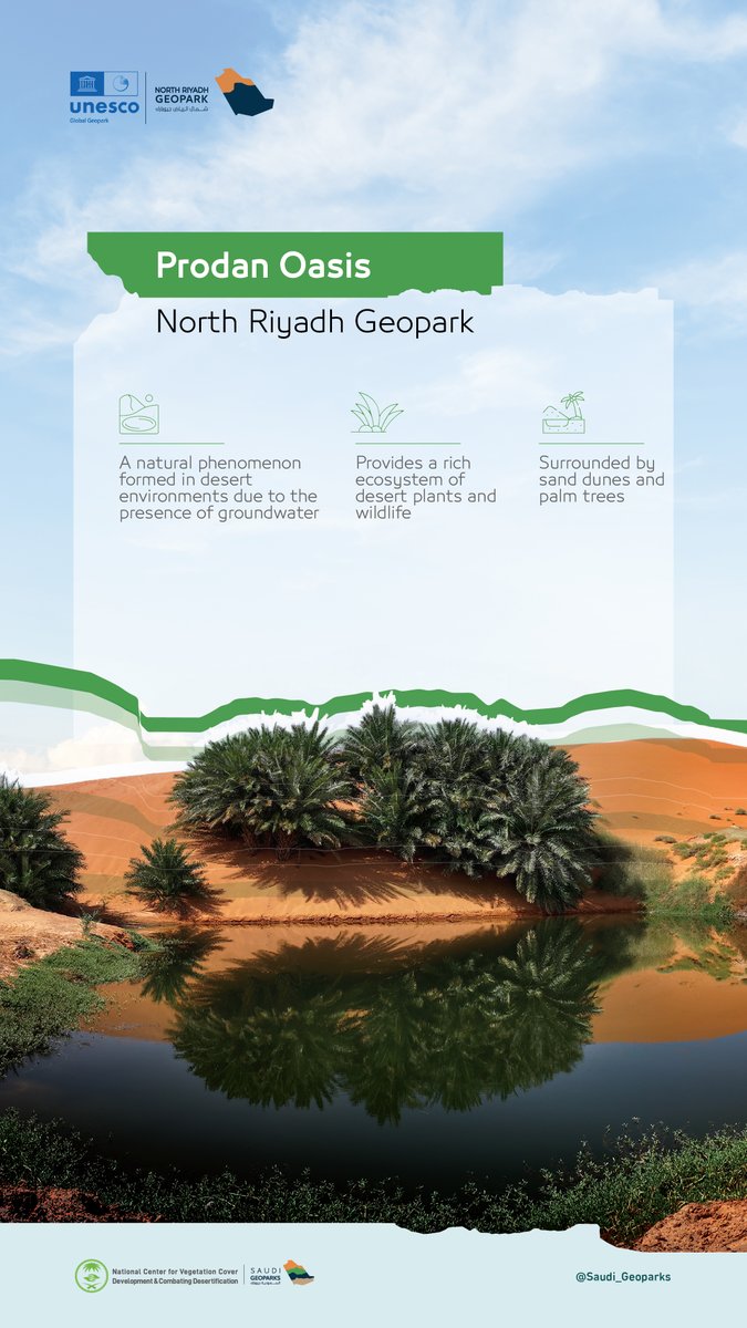 NRGeopark's tweet image. Where sand meets water... Prodan Oasis is a living heart in the middle of the desert.
a natural beauty and ecological richness worth discovering.
#NorthRiyadhGeopark #SaudiGeoparks