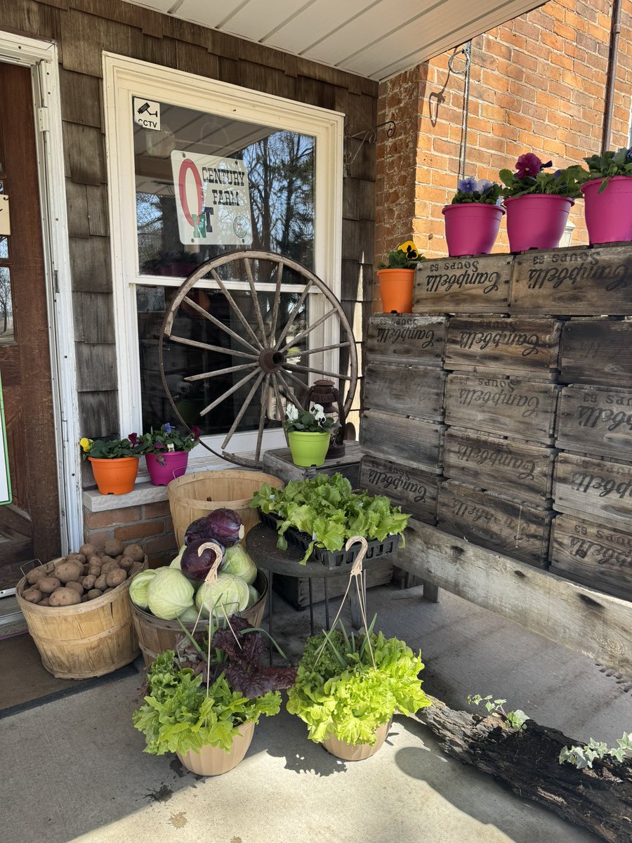 Barrie's Asparagus tweet media