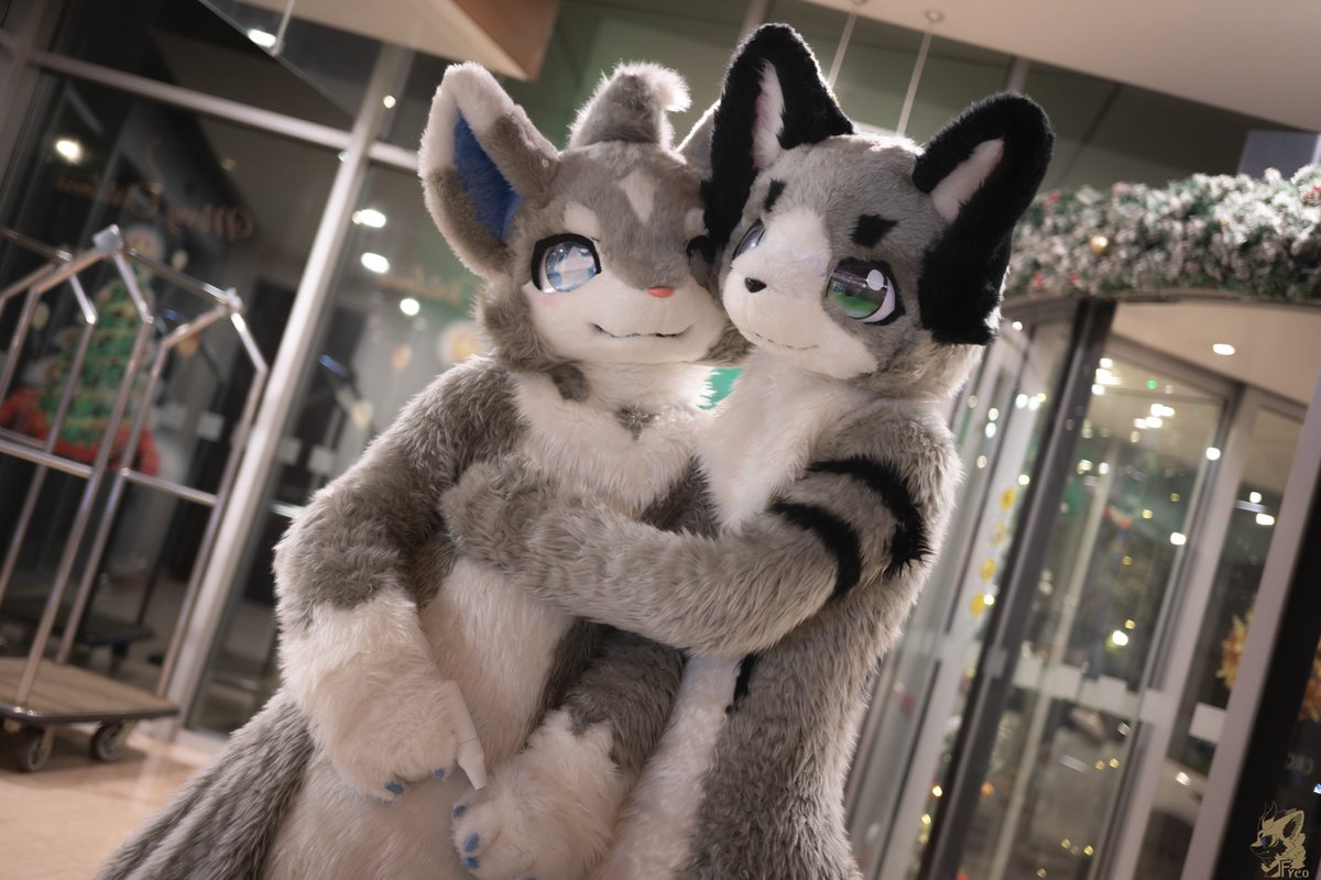 StarChe23223423's tweet photo. #FursuitFriday 
🐶💓🐶
拍摄by@Furry_Freo
帅狗@FurCN_Xiaofeng https://t.co/SOxHzatxSA