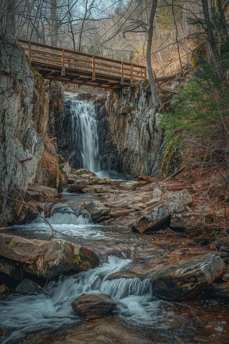 Amicalola Falls State Park, Georgia