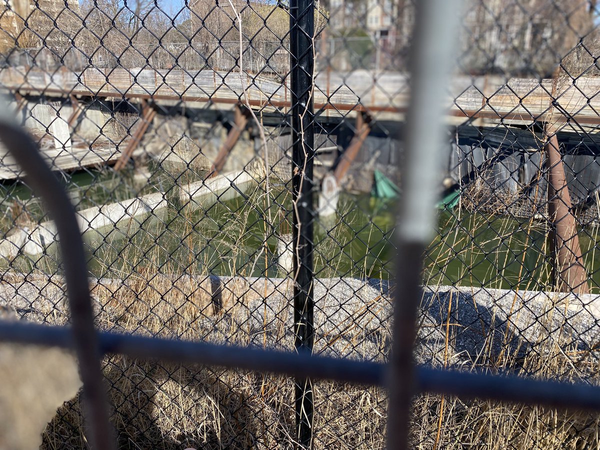 BrendanFaherty4's tweet photo. @CllrAmberMorley I am not sure if this is your office resp. but at Mimico GO the failed VanDyk project is flooded. It is going to a breeding ground for mosquitos. Can the city have this pumped out? https://t.co/YgojQMRQrz