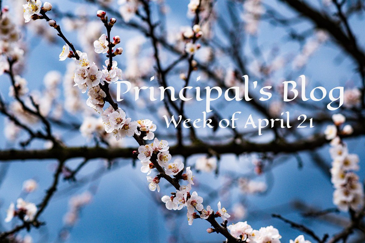 Read-a-Thon Results, Diversity, PD Days and more in this week's Principal's Blog <a href="/HawkwoodSchool/">Hawkwood School</a> ...
hawkwood.cbe.ab.ca
#WeAreCBE <a href="/yyCBEdu/">Calgary Board of Education</a>