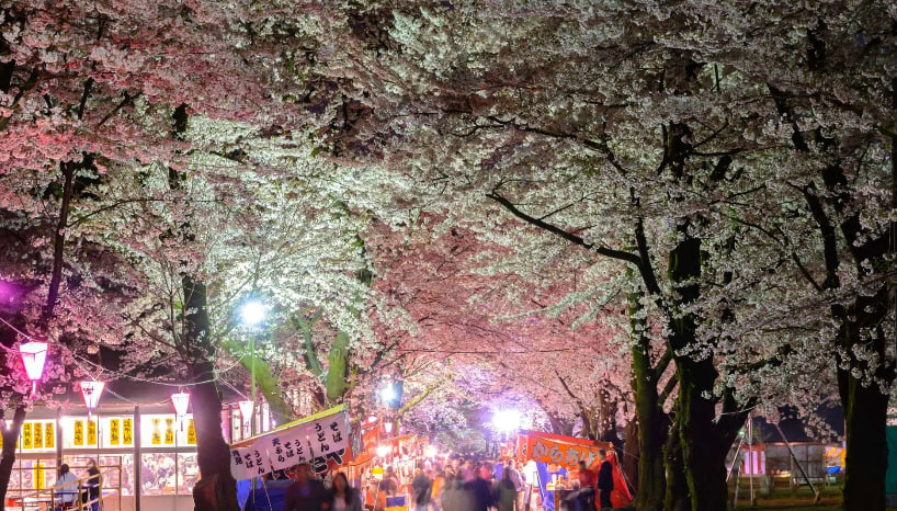 Yuna Asano tweet media