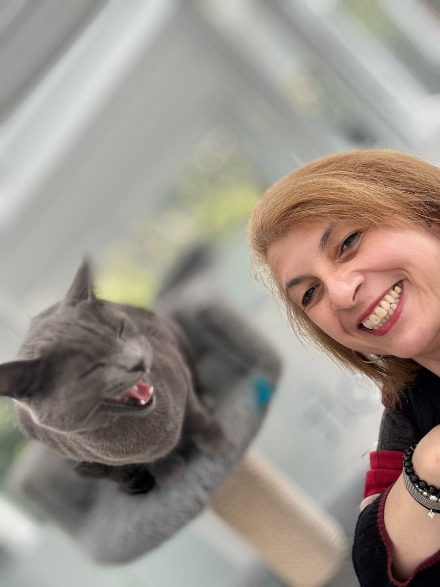 TheCatHotel's tweet image. Cats can tell jokes, too!