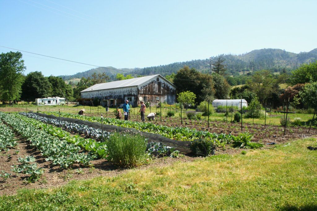 Agricultural Land Conservation Lunch &amp; Learn mendocinolandtrust.org/meetings/agric…