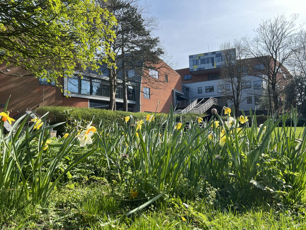 CATS /Centre For Abuse, Trauma and Suicide studies tweet media