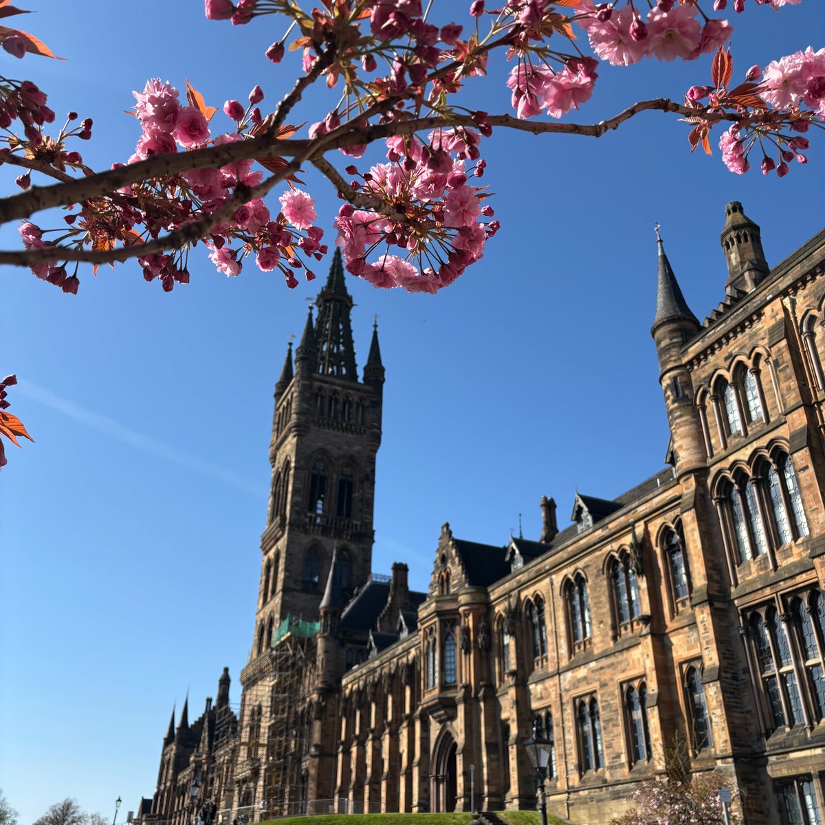 The SRC staff and officers will be taking a break over the Easter weekend and will be out of office on Friday 18th April and Monday 21st April 🌸

We will return to work on Tuesday 22nd April.

Check out our Advice Centre Out of Hours page here: glasgowunisrc.org/advice/out-of-…