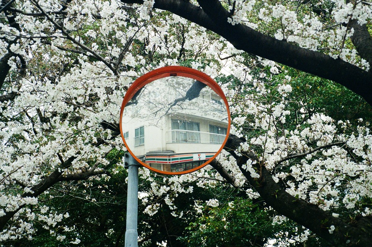 I lost my phone on my way back home.
It was frustrating that I knew where it's on 'find my' app, yet it's out of my reach.
It's gone now, along with 2 years of my photos.
I still have some film photos of my trip to japan, and this is my fav.
(Thanks <a href="/ak_ri_/">bedroomtheft</a>  taking me around!)