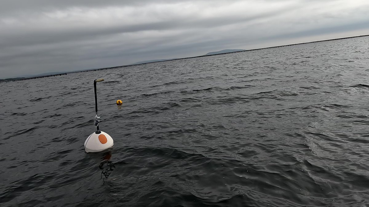 OpenSwarm tweet media