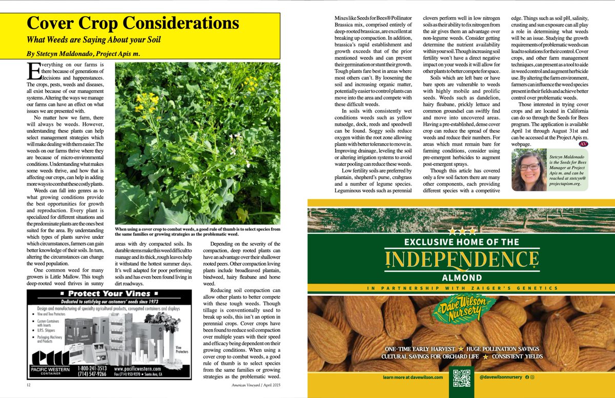 AmVineyardMag's tweet image. americanvineyardmagazine.com/read-april-202… Find out what Weeds are saying about your Soil in the April Edition of #AmericanVineyard with @StetcynMaldonado from @ProjectApism Subscribe to receive your Free monthly American Vineyard Magazine here: malcolmmedia.com/subscribe/
 #covercrops #SeedsForBees