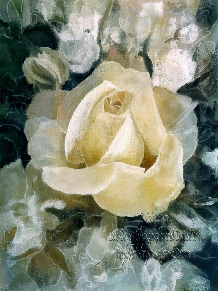 Frosty Rose - a blooming yellow #rose surrounded by muted foliage creates a dreamy ambiance.  Hand-painted, digitally, from my own photo, not Ai.  
lois-bryan.pixels.com/featured/frost… #art #giftideas #buyintoart #ayearforart #flowers #floral #memory #digitallyhandpainted #NotAi #LoisBryan