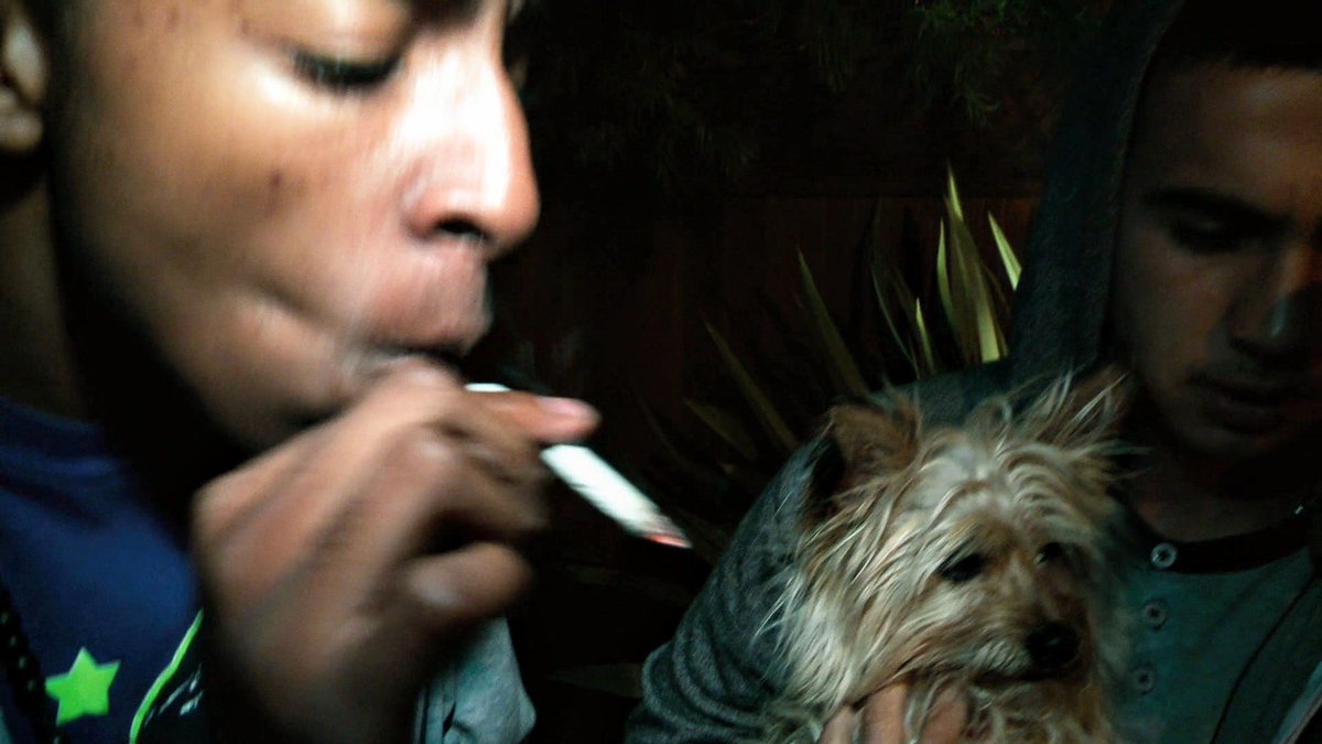 Project X (2012) dir. Nima Nourizadeh