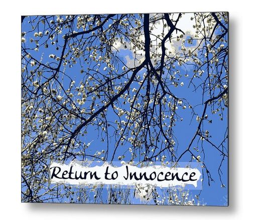 Return to Innocence - cherry tree blossoms #typography. Find my image on many items here:
uwe-stoeter.pixels.com/featured/retur…
#MoonWoodsShop #AYearForArt #BuyIntoArt #ArtistsOnTheChain #lovedesign #floralart