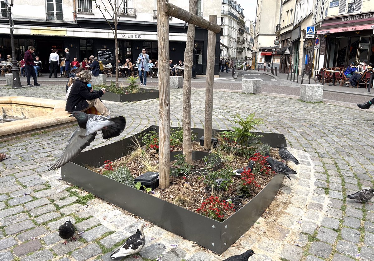 😱🌳DE PIRE EN PIRE La situation de la PLACE DE LA CONTRESCARPE , #Paris 5, est désolante: manque d’entretien criant, bordures métalliques autour des #arbres qui redécoupent l’espace, absence d’unité, fontaine tristement à sec…Cette place a perdu tout ce qui faisait son charme.