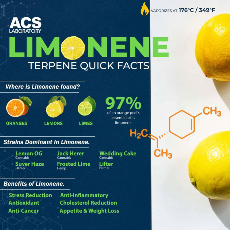 thcmed's tweet image. Terpene quick facts about Limonene. Like in the name, this terpene has citrus flavor, with benefits such as stress reduction, antioxidant, anti-inflammatory, etc. 
#limonene #terpene #weedknowledge #naturalmedicine #ɪɴsᴛᴀɢᴏᴏᴅ #mmj #thc #thcmed #trichomehealthconsultants