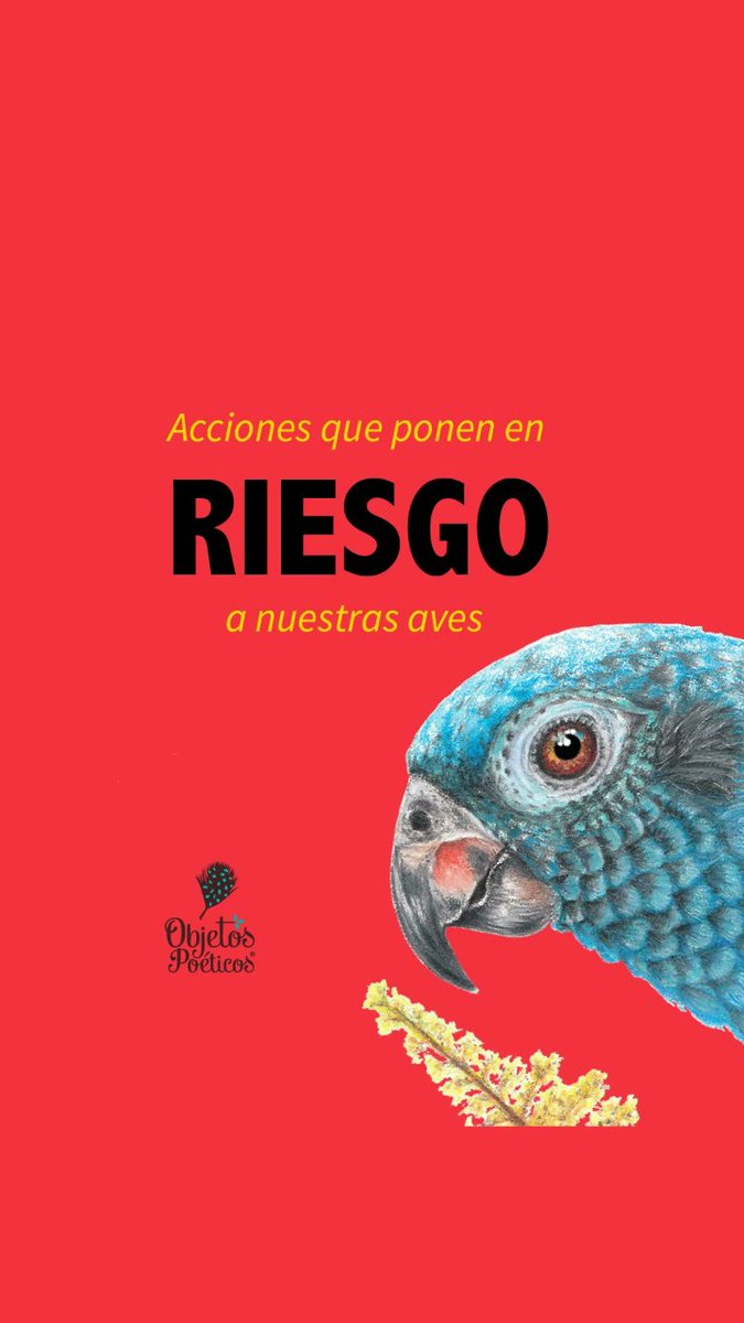 OPoeticos's tweet photo. Pequeñas acciones, generan grandes cambios. #SemanaSanta en paz con la #naturaleza . 🦜🦢🦆🕊🐦🦤 #conservación #concienciambiental https://t.co/5UmXxeo0oF