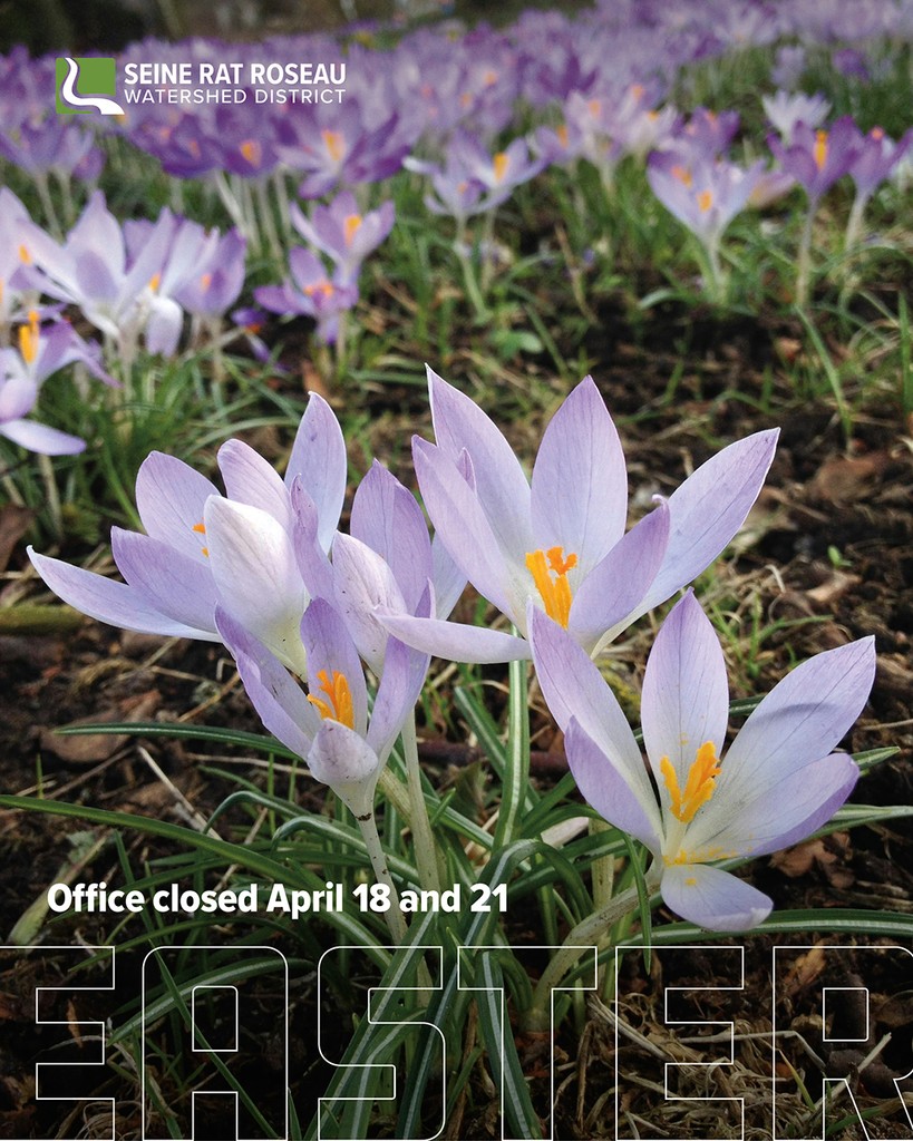 Happy Easter from all of us at SRRWD 🐰🌸