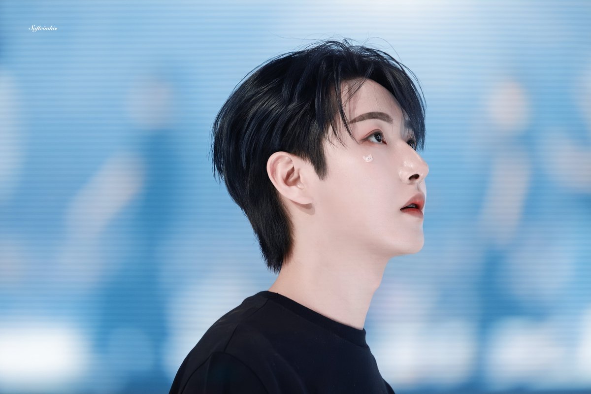 Softcookiee tweet media