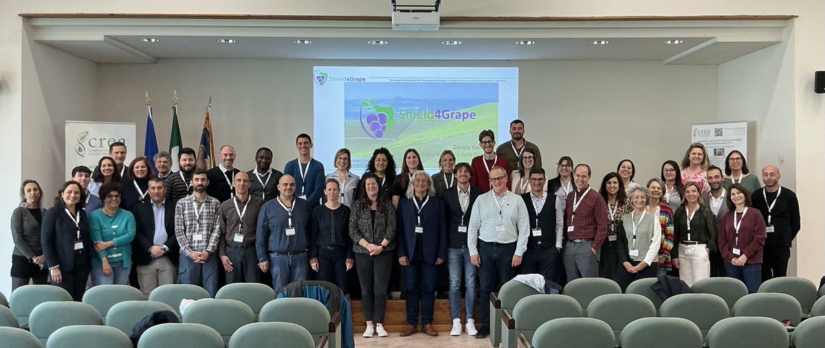 Shield4grape (@shield4grape) on Twitter photo 🍇 <a href="/shield4grape/">Shield4grape</a> held its 2nd meeting in Susegana 🇮🇹 (Apr 9–11), hosted by <a href="/CREARicerca/">CREARicerca</a> !
🔬 Grapevine resilience
🌿 IPM strategies
📊 Socio-economic impacts
🤝Collab w/ #VitisGen3 <a href="/GrapeBreed4IPM/">GrapeBreed4IPM</a> #ForestAgriGreenNudge
Thanks to all who joined! 💚🍷
#Viticulture #genotypes 🍇 <a href="/shield4grape/">Shield4grape</a> held its 2nd meeting in Susegana 🇮🇹 (Apr 9–11), hosted by <a href="/CREARicerca/">CREARicerca</a> !
🔬 Grapevine resilience
🌿 IPM strategies
📊 Socio-economic impacts
🤝Collab w/ #VitisGen3 <a href="/GrapeBreed4IPM/">GrapeBreed4IPM</a> #ForestAgriGreenNudge
Thanks to all who joined! 💚🍷
#Viticulture #genotypes