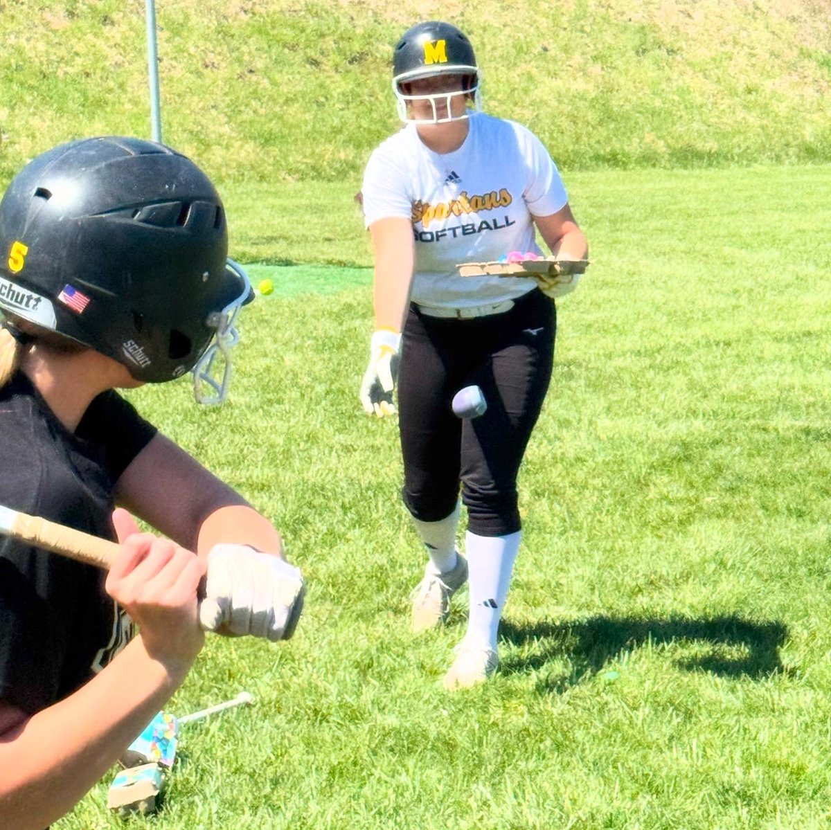 Montour High School Softball tweet media
