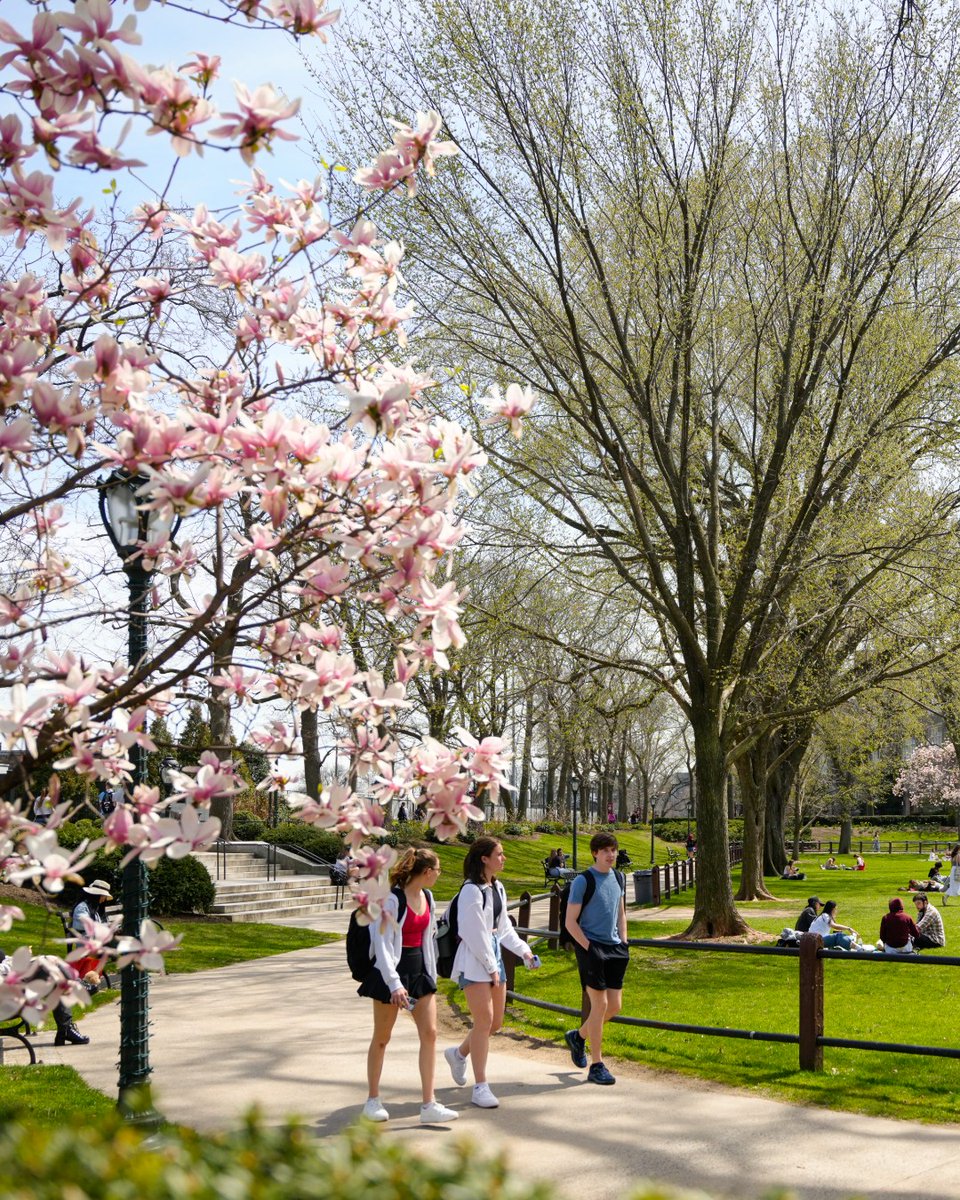 Perfect weather 🤝 Perfect company
--
#FordhamUniversity #FordhamAlumni #SpringSeason #RoseHillCampus #CherryBlossoms #NYC