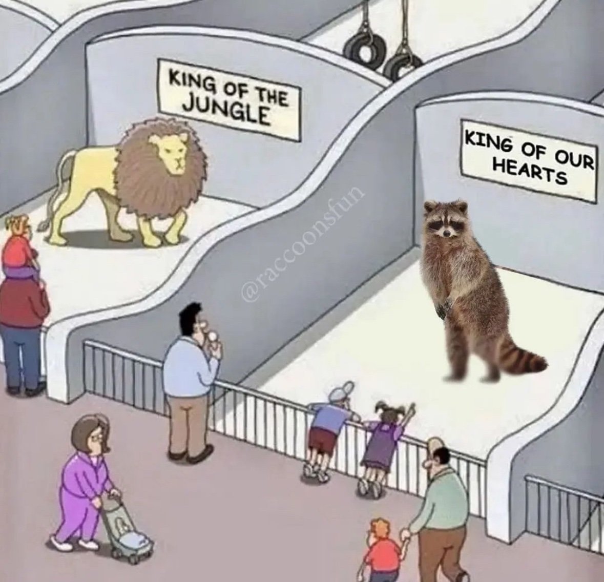 ShouldHaveRacc's tweet image. 