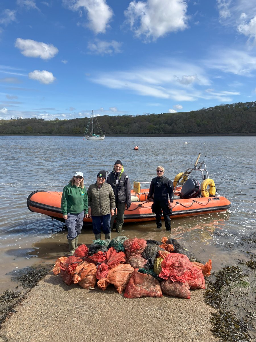 Pembrokeshire Marine Wildlife tweet media