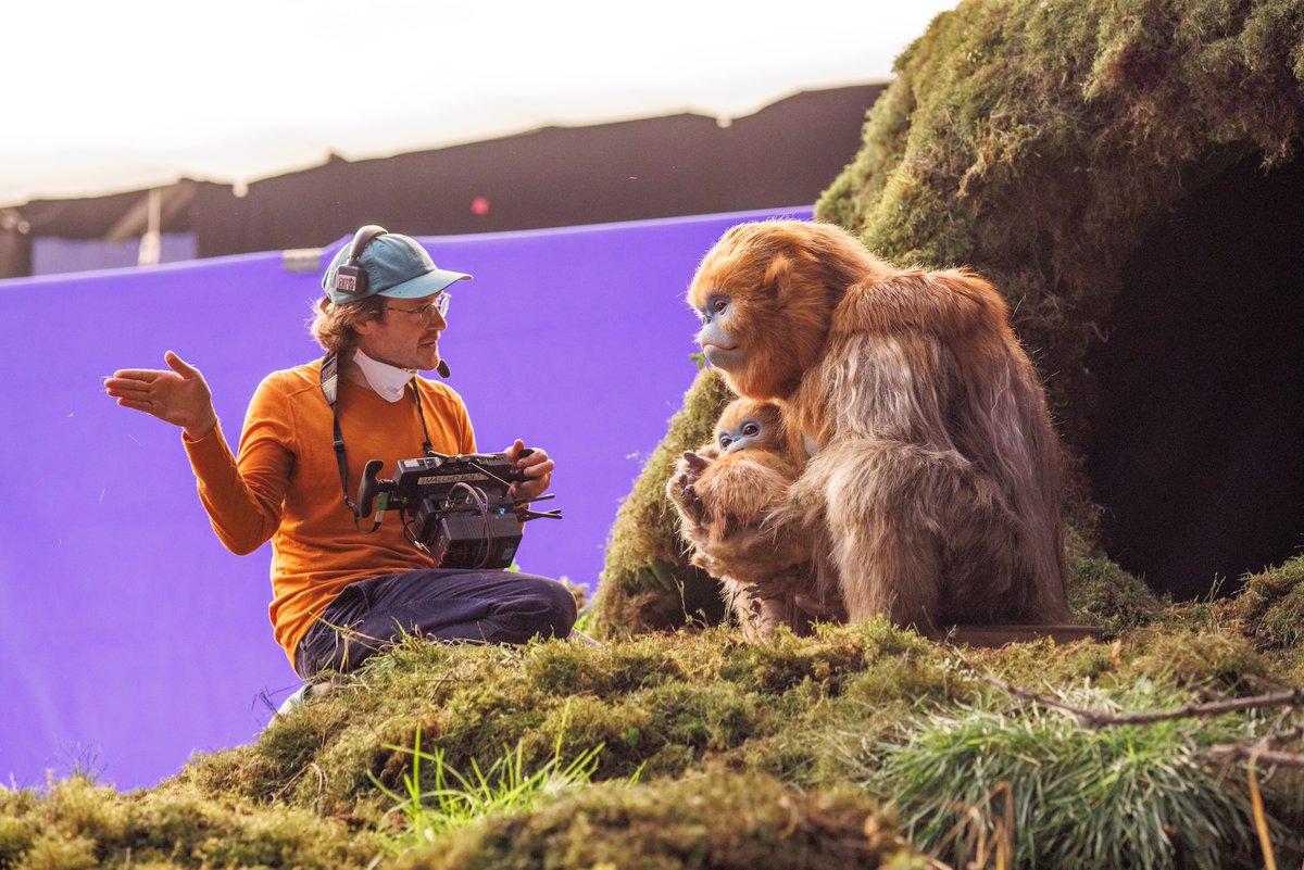 A24's tweet photo. Over 200 matte paintings, 7 puppeteers, 4 ape suit performers with animatronic heads, and more than 150 artists and craftspeople. 

Behind the scenes of The Legend of Ochi, a true labor of love from Isaiah Saxon and his team of artisans. Opens in NY/LA tomorrow, nationwide next Friday!