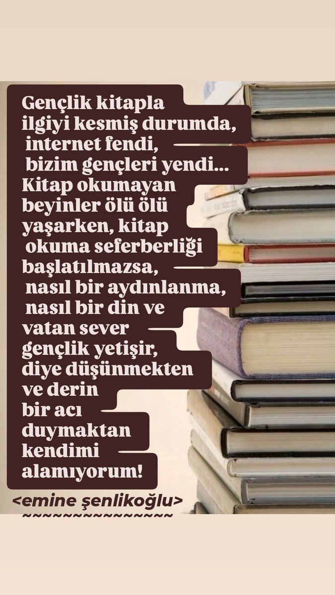 emine şenlikoğlu tweet media