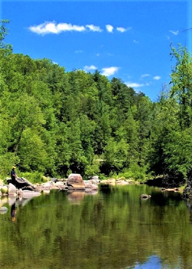 Pisgah National Forest,North Carolina-USA.