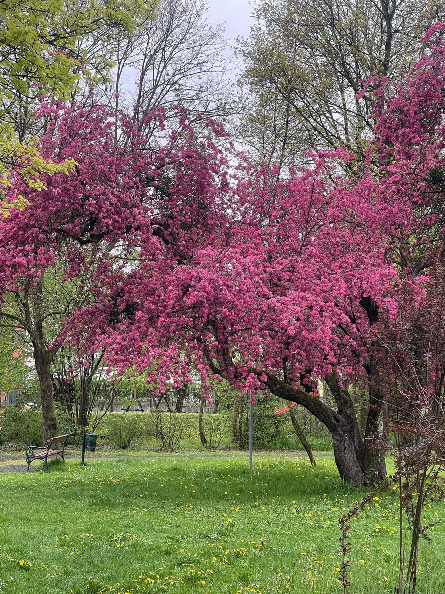 iam_itf's tweet image. #SpringBreak #springtime #Unwind