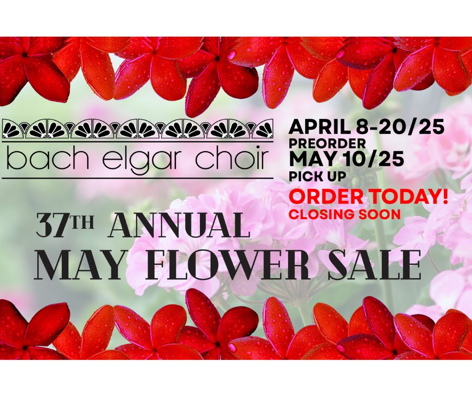 🌸 Only Days Left to Order! 🌸

Sales are blooming in the Bach Elgar Choir’s Annual Flower Sale—don’t miss your chance to grab gorgeous bedding plants or hanging baskets—and support local music!

🛍️ zeffy.com/ticketing/bec-…

#BachElgarFlowers #SupportTheArts #OrderToday
