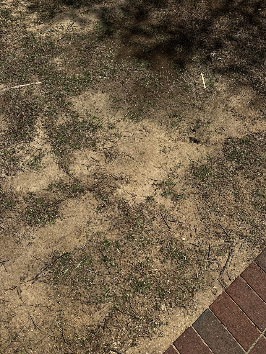 SteveDropkick's tweet image. WHAT THE FUCK