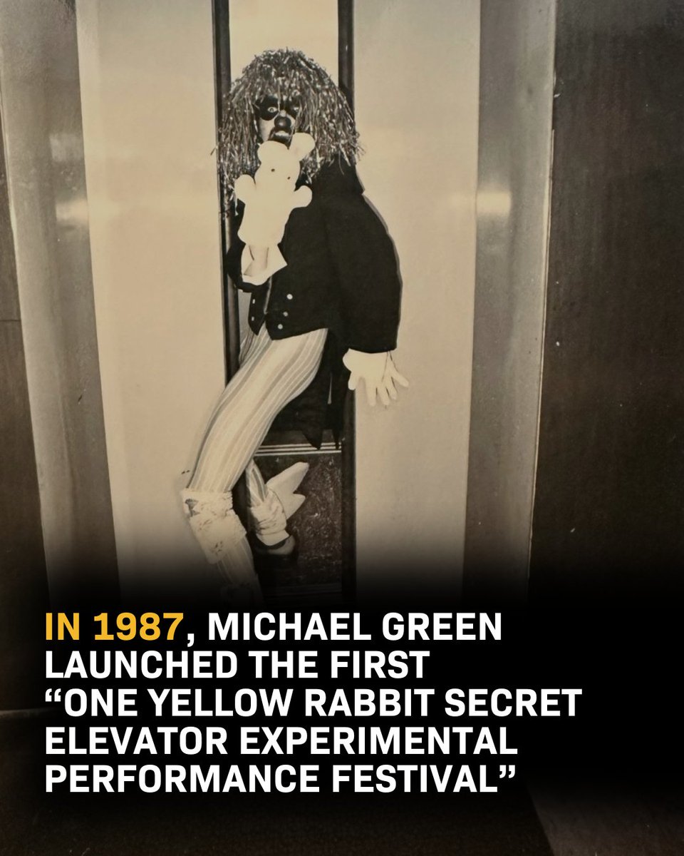 One Yellow Rabbit tweet media